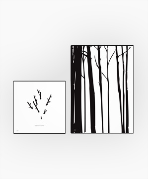 Combination of 2 #002