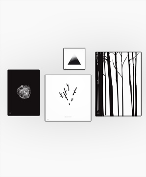 Combination of 4 #003