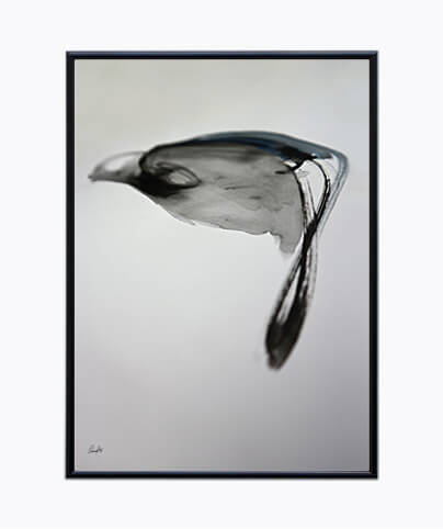 AQUA_03