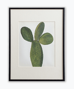 CACTUS_08