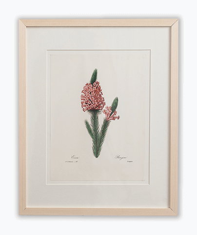 EXOTIC FLOWER_02