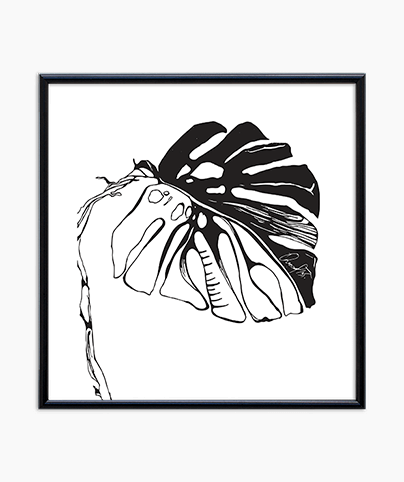  BLACK AND WHITE BLOOM_02_SQ