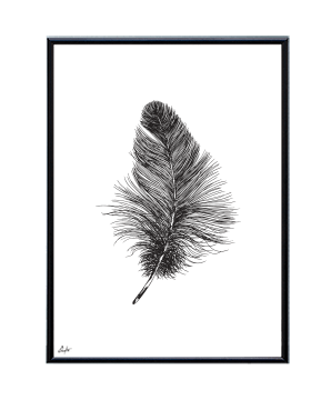 BLACK AND WHITE FEATHER