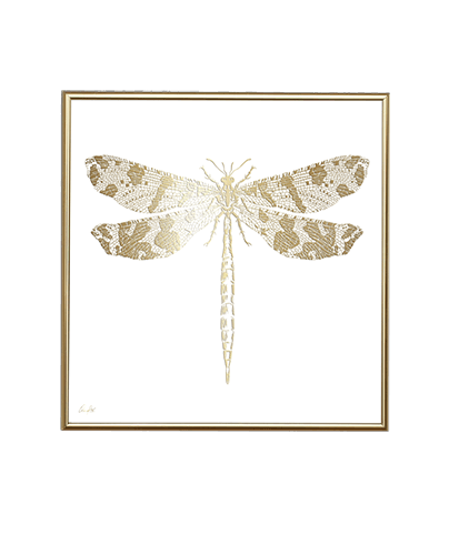 GOLD DRAGONFLY_SQ
