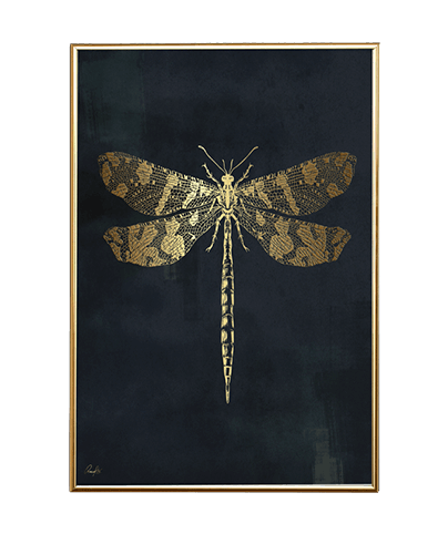 GOLD DRAGONFLY