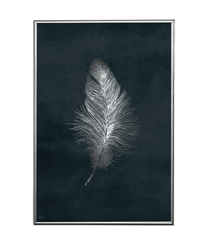 SILVER FEATHER NIGHT