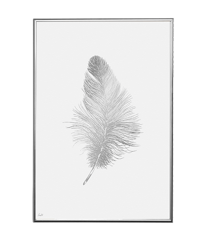 SILVER FEATHER