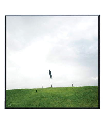 GREENERY_SQ