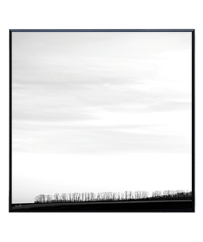 FOREST_02_SQ