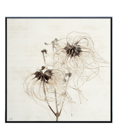 SILENCE_01_SQ