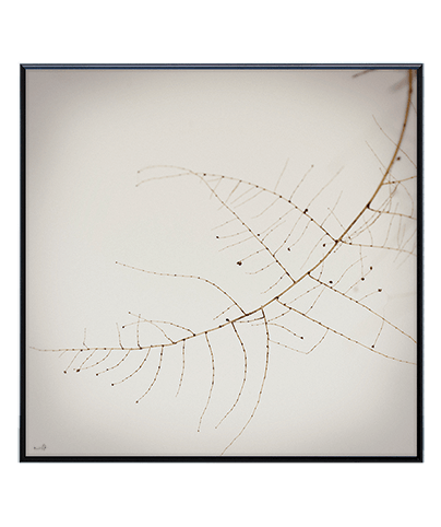 SILENCE_02_SQ