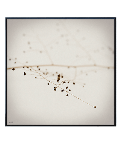 SILENCE_03_SQ