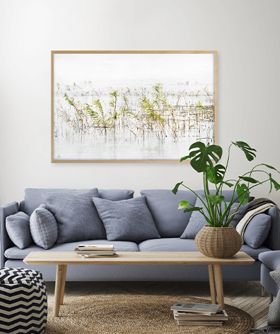 ZEN_05