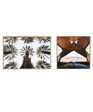 Combination of 2 #127