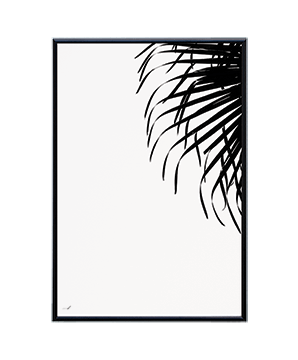 PALM IN WHITE