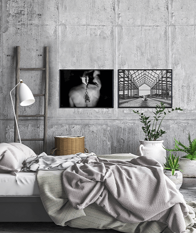 THE FLY