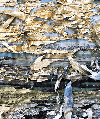 SEASHORE_26

