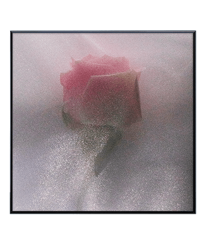 EVERLASTING_SQ