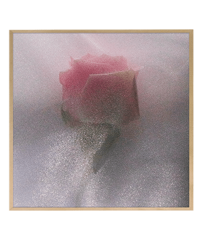 EVERLASTING_SQ
