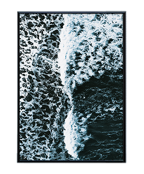 REEF_17
