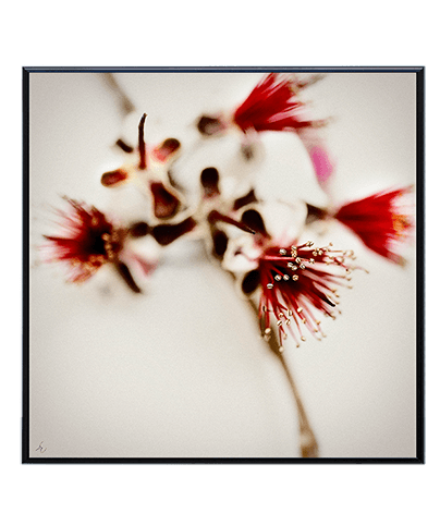 SILENCE_05_SQ