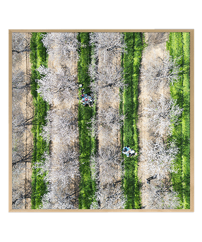 POINT OF VIEW 21_SQ