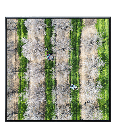 POINT OF VIEW 21_SQ