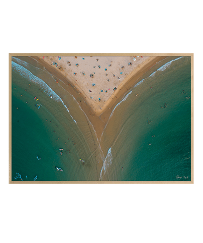 REEF_26
