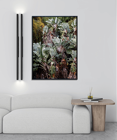 FOREST_08