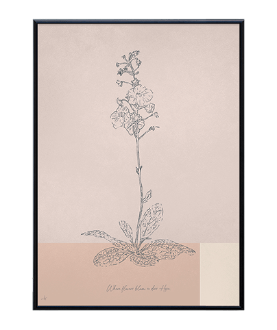 BOTANICA_02