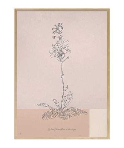 BOTANICA_02