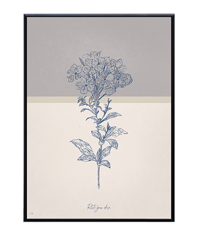 BOTANICA_04