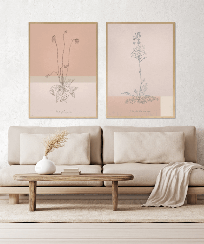 BOTANICA_02