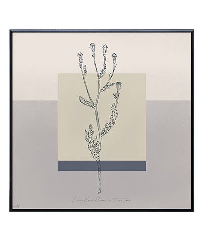 BOTANICA_06_SQ