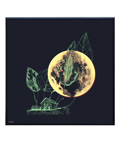 NATURE_01