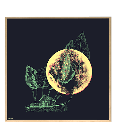 NATURE_01