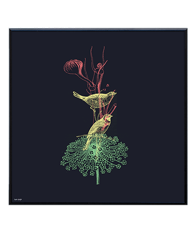 NATURE_02