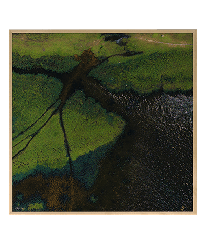 LANDSCAPE_26