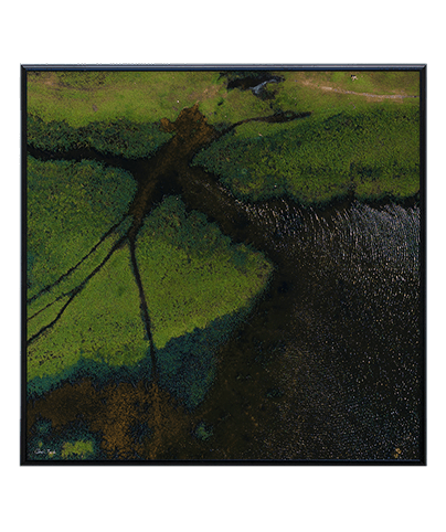 LANDSCAPE_26