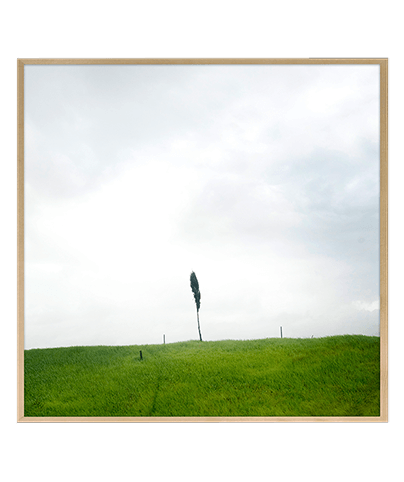 GREENERY_SQ