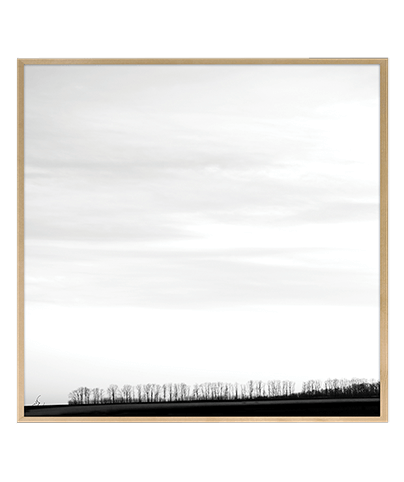 FOREST_02_SQ