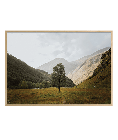 TREESOME
