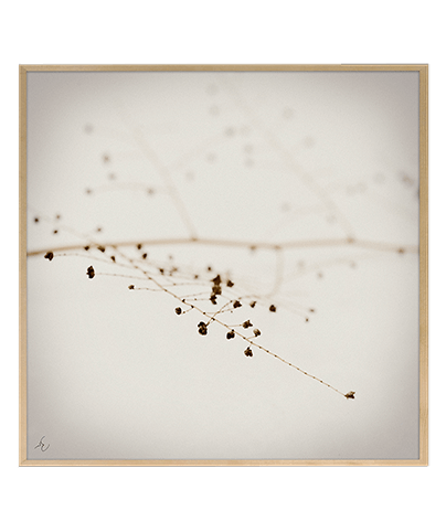 SILENCE_03_SQ