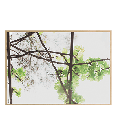 GREENERY