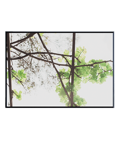 GREENERY