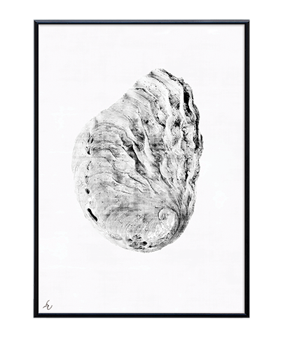 FOSSIL_02
