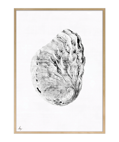 FOSSIL_02