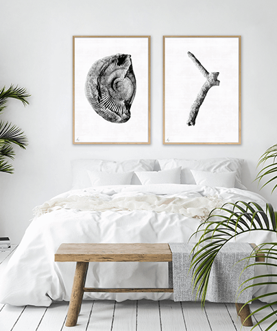 FOSSIL_03