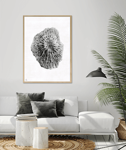 FOSSIL_07