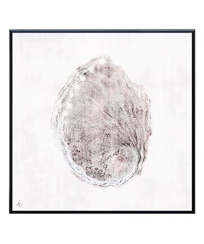 FOSSIL_08